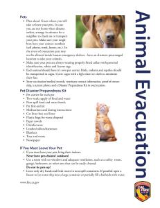 Animalevacuation-page-002